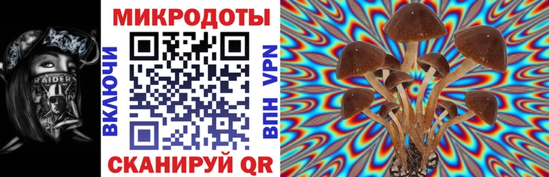 Галлюциногенные грибы ЛСД Тимашёвск